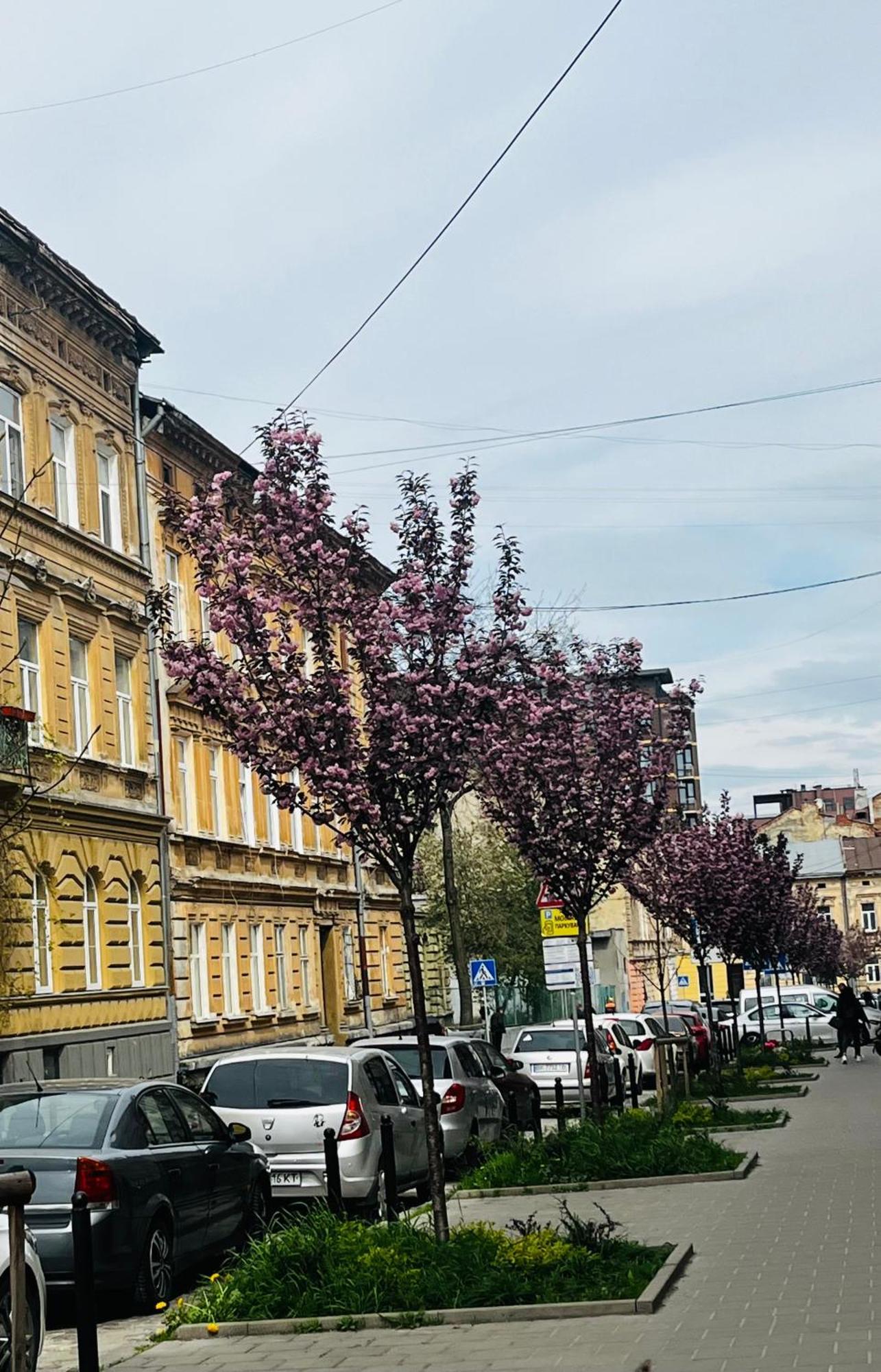 Iren Forum Apartment Liov Exterior foto